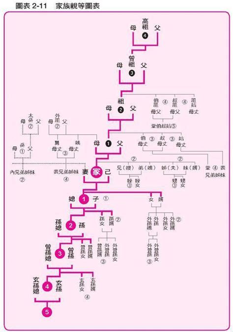 玄孫台語|祖宗18代的稱呼＆親屬關係圖＆親屬稱謂客語讀音表（fam⁺ rhanˊ。